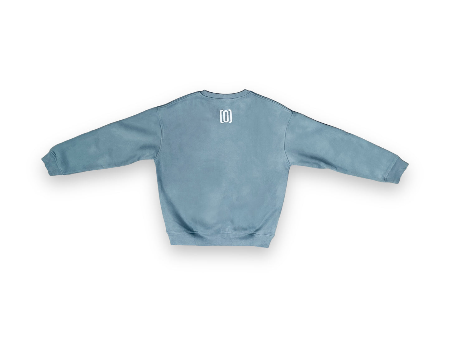 Light Blue Embroidered Sweatshirt