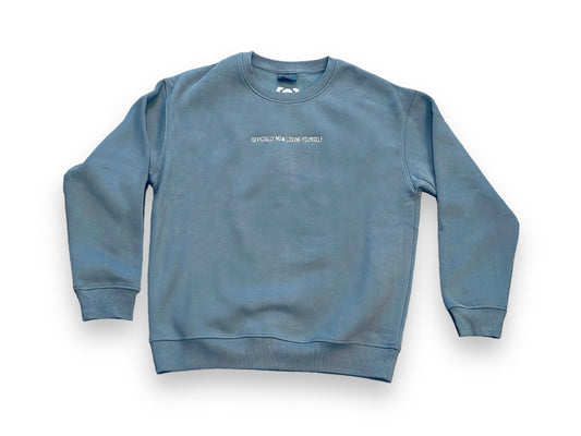 Light Blue Embroidered Sweatshirt